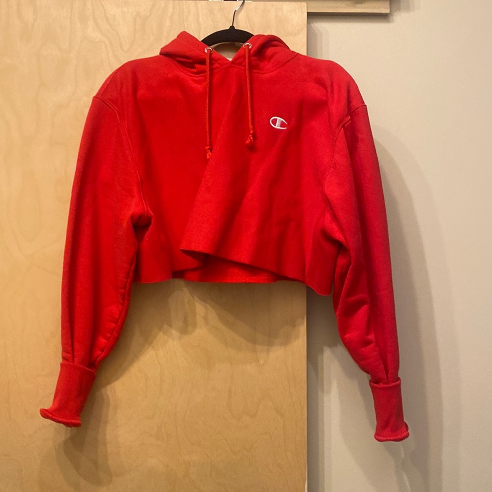 Champion cropped hoodie